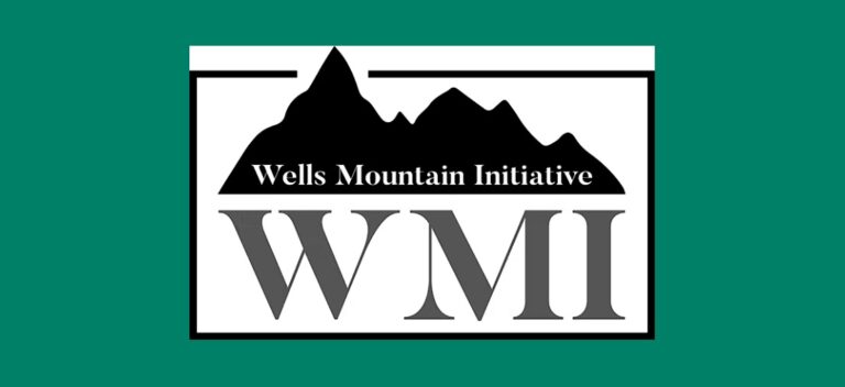 Wells Mountain Initiative logo